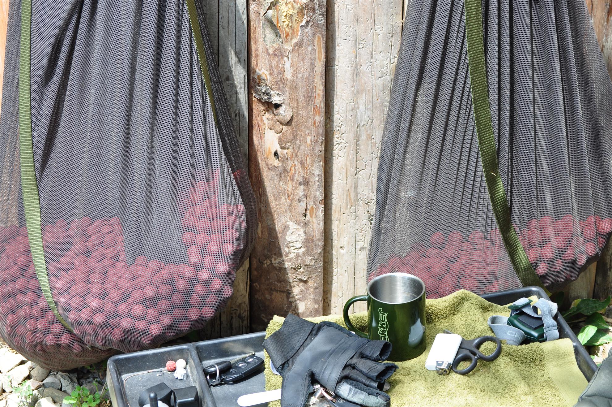 Tancabesti - dsc0086.JPG